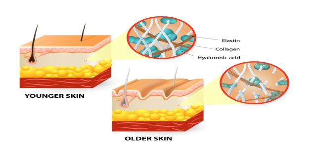 /media/BLOG/Radiofrequency%20thumb.jpg